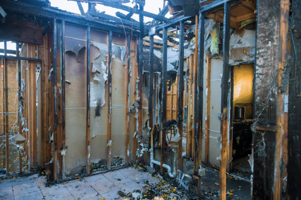Professional Fire Damage Removal technician working in Denton, MD